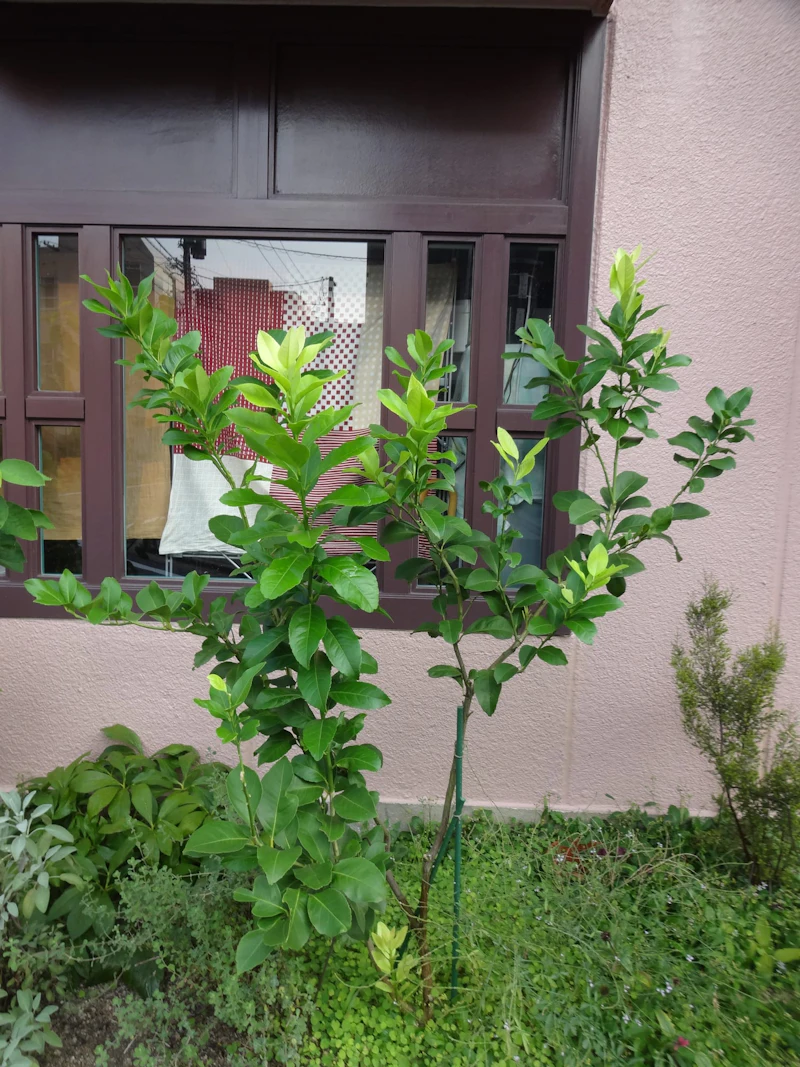 dsc01779