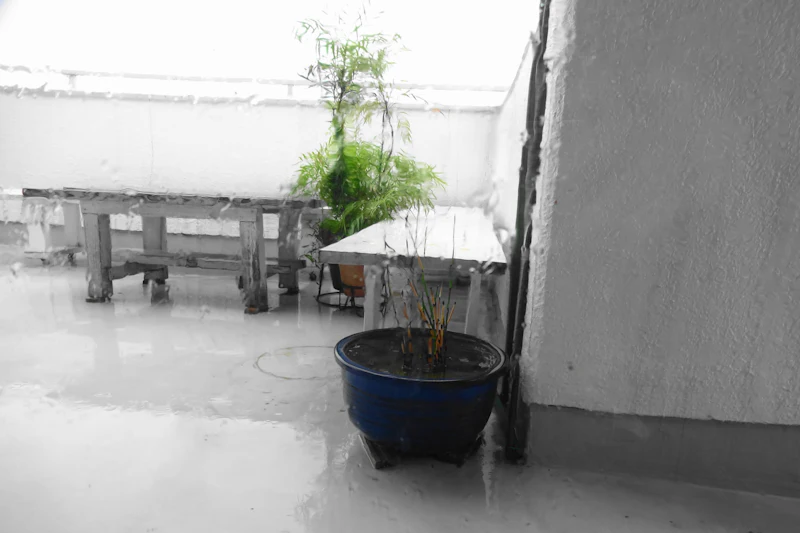 DSC04989