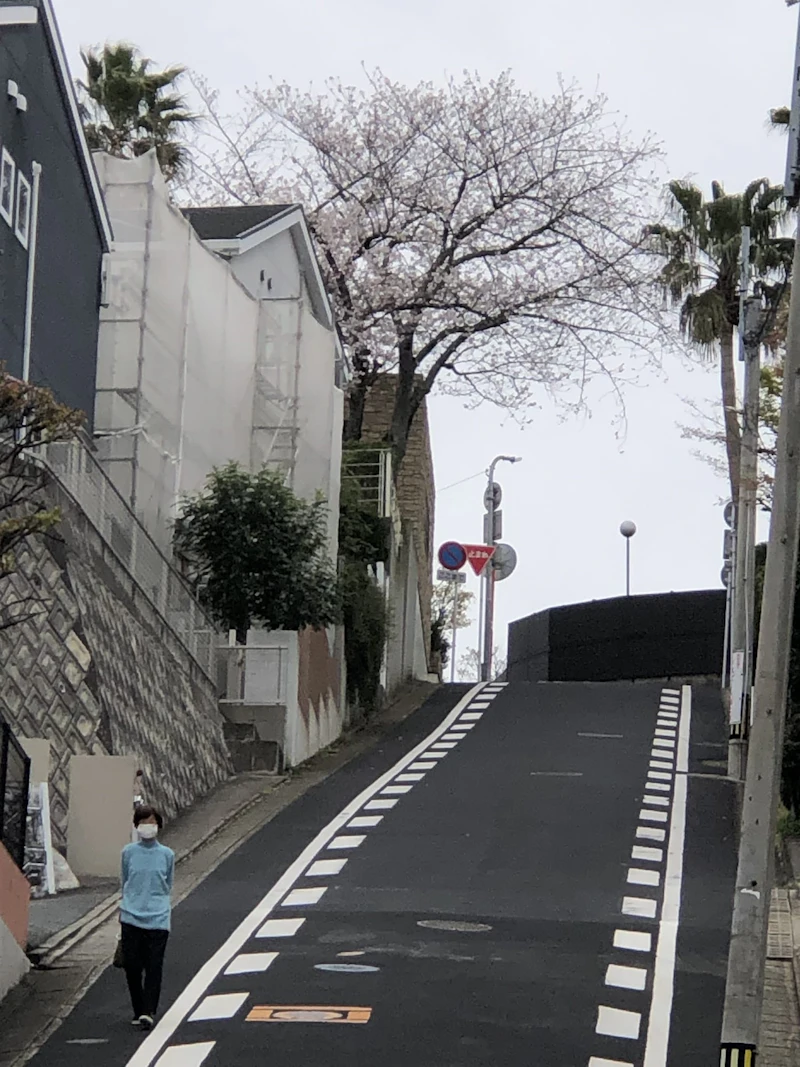 IMG_1559[1]