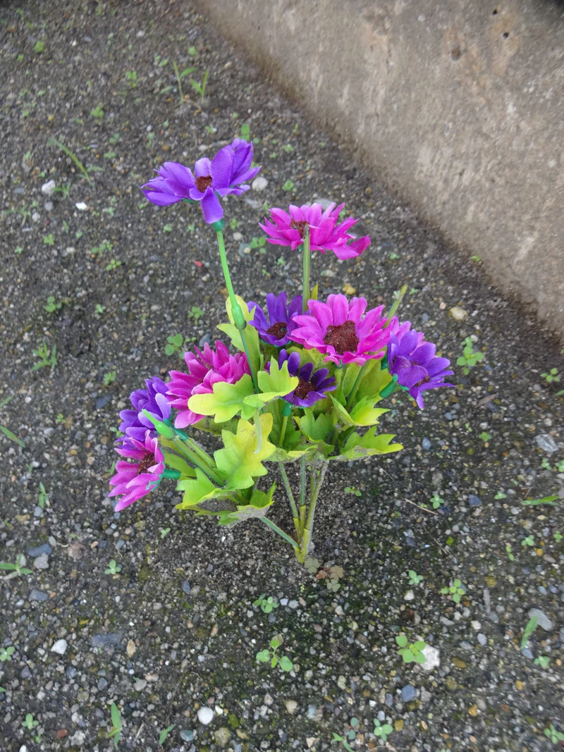 DSC04150