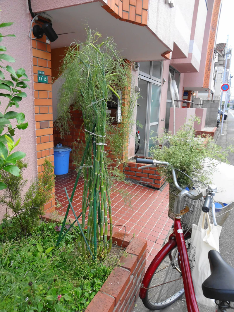 DSC01741