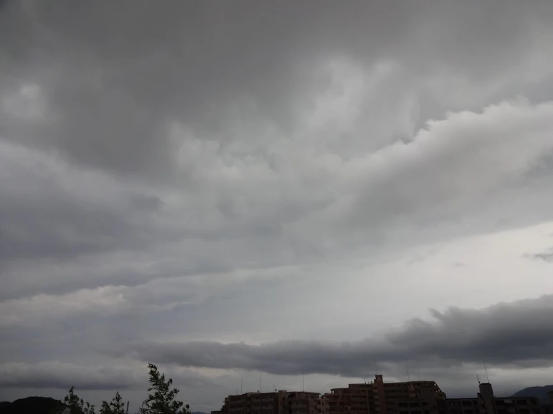 DSC04980