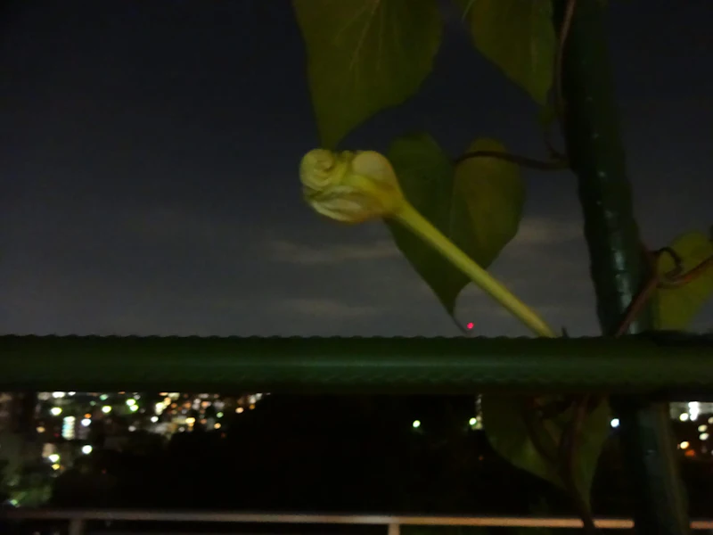 DSC04001