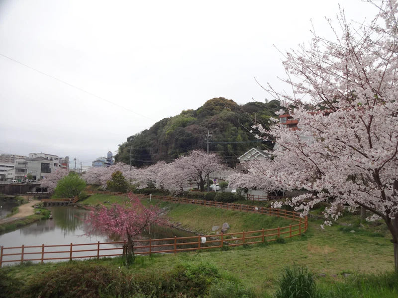 DSC03105