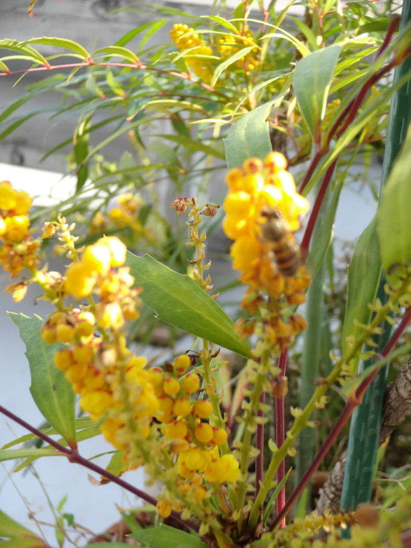 DSC04358