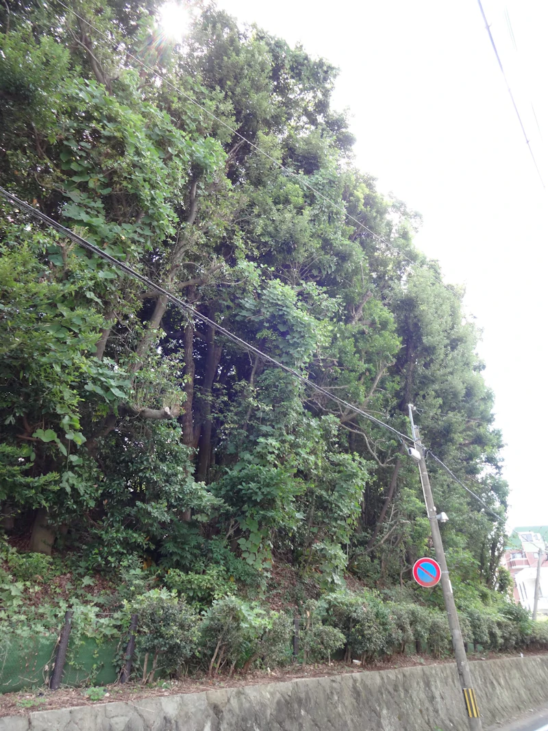 DSC04019