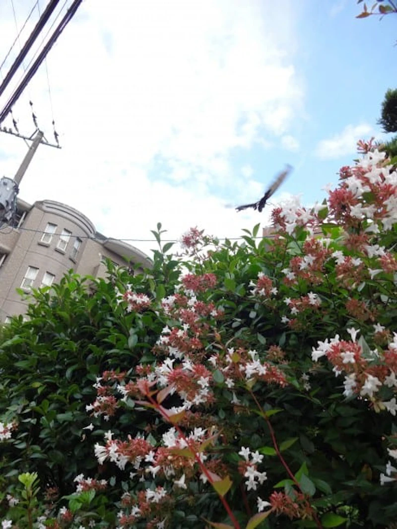 DSC01480