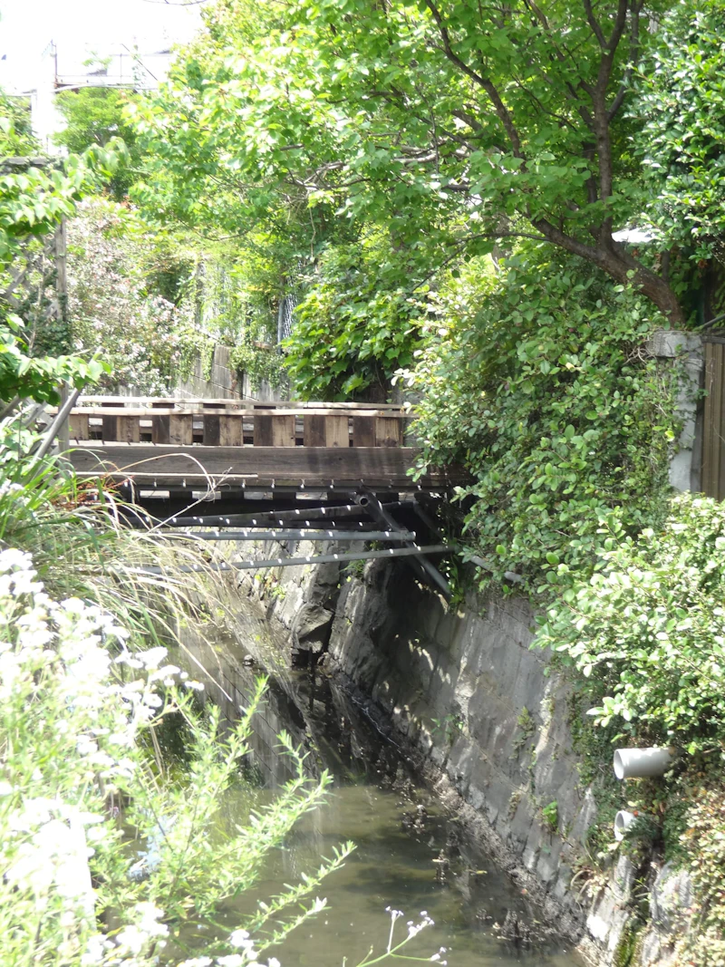 DSC04966