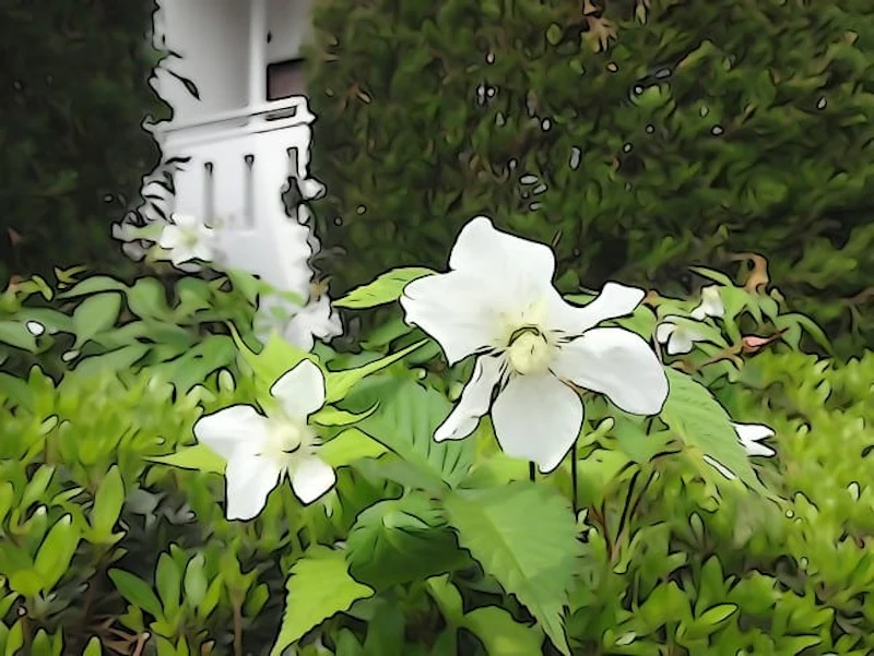 DSC01090