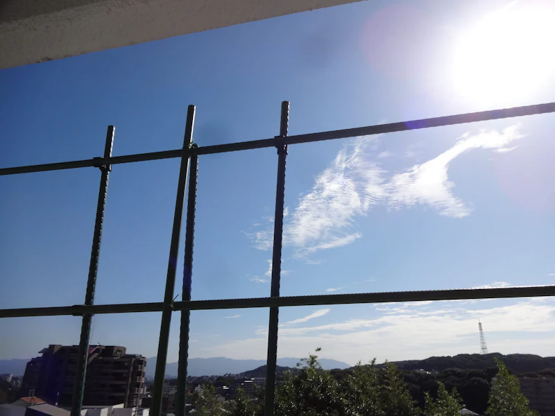 DSC04176