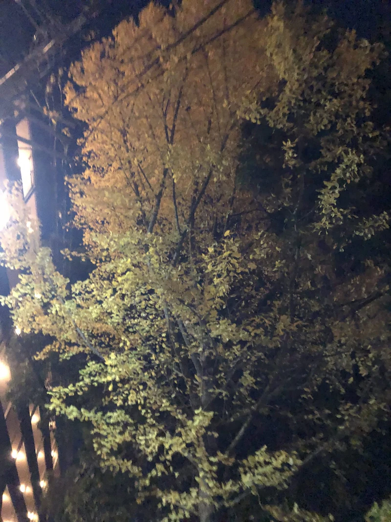IMG_1135[1]