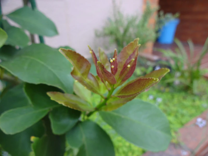 DSC03580