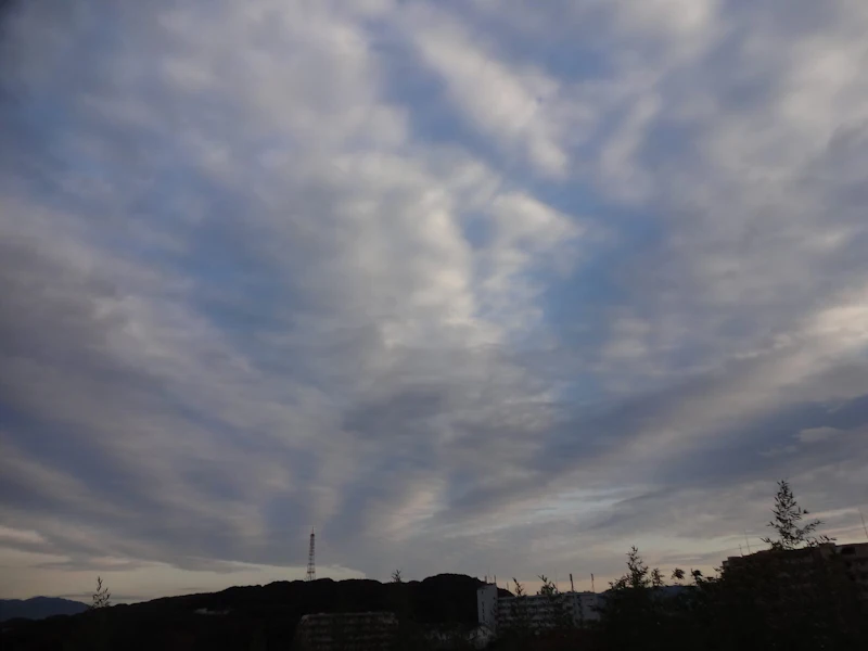 dsc02452