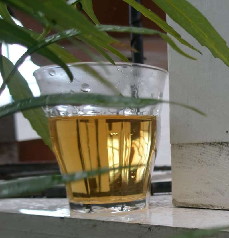 herb tea