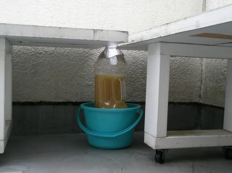 油粕