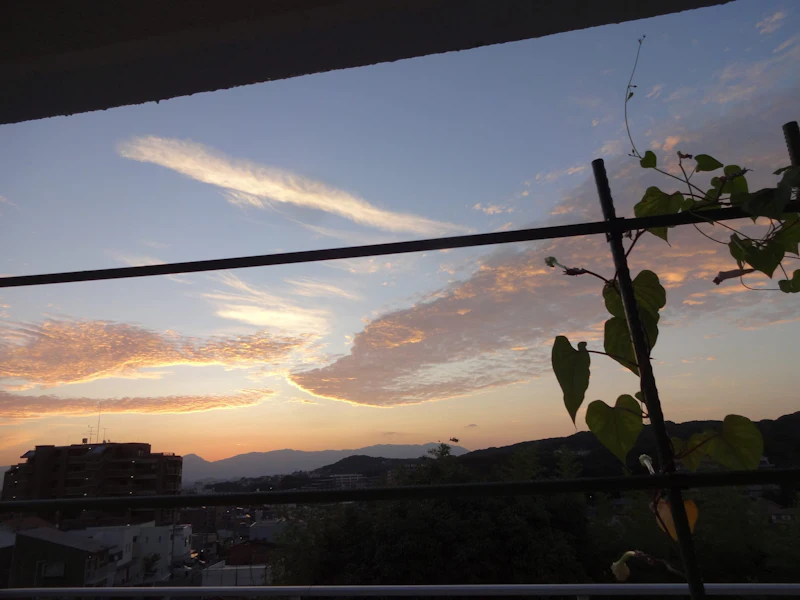DSC04060