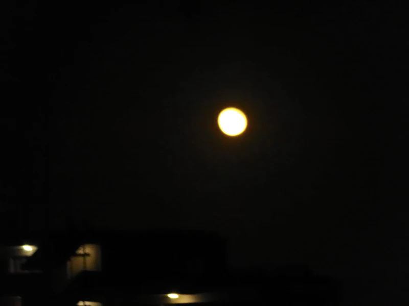 dsc02269
