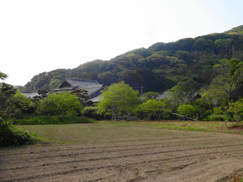 DSC04836
