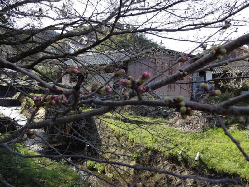 DSC00790