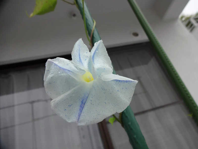 DSC03640