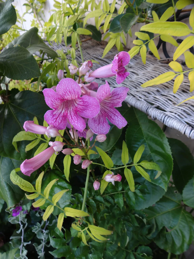 dsc02226