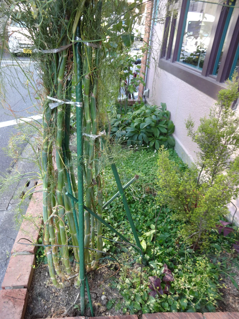DSC01698