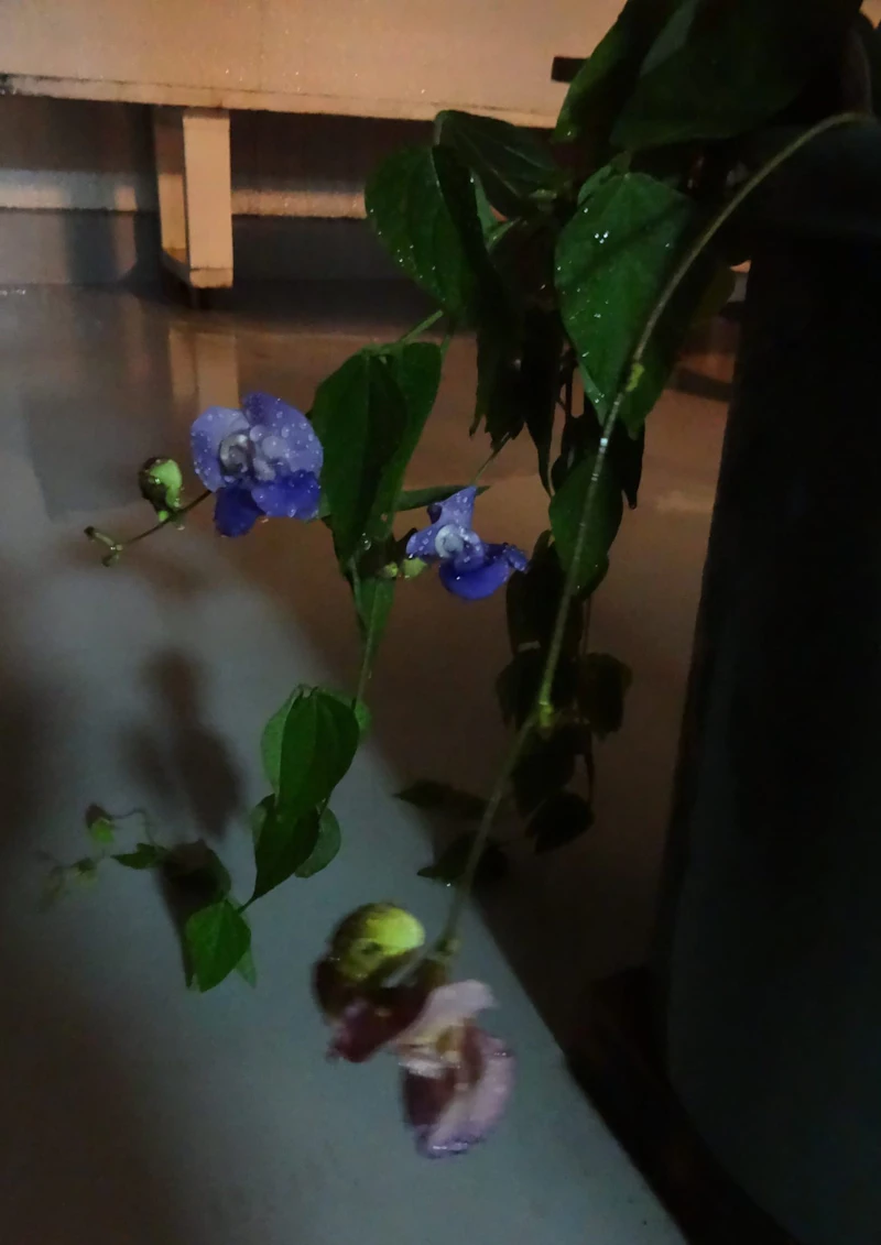 DSC04170