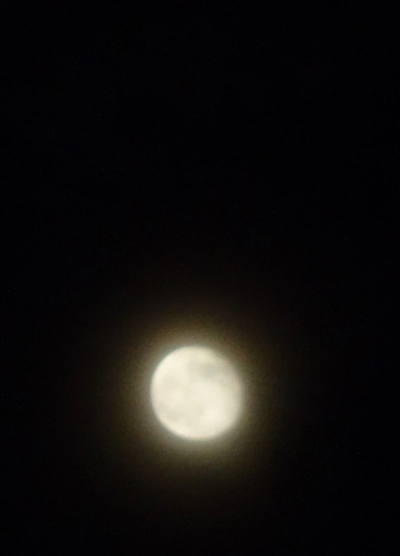 DSC04924