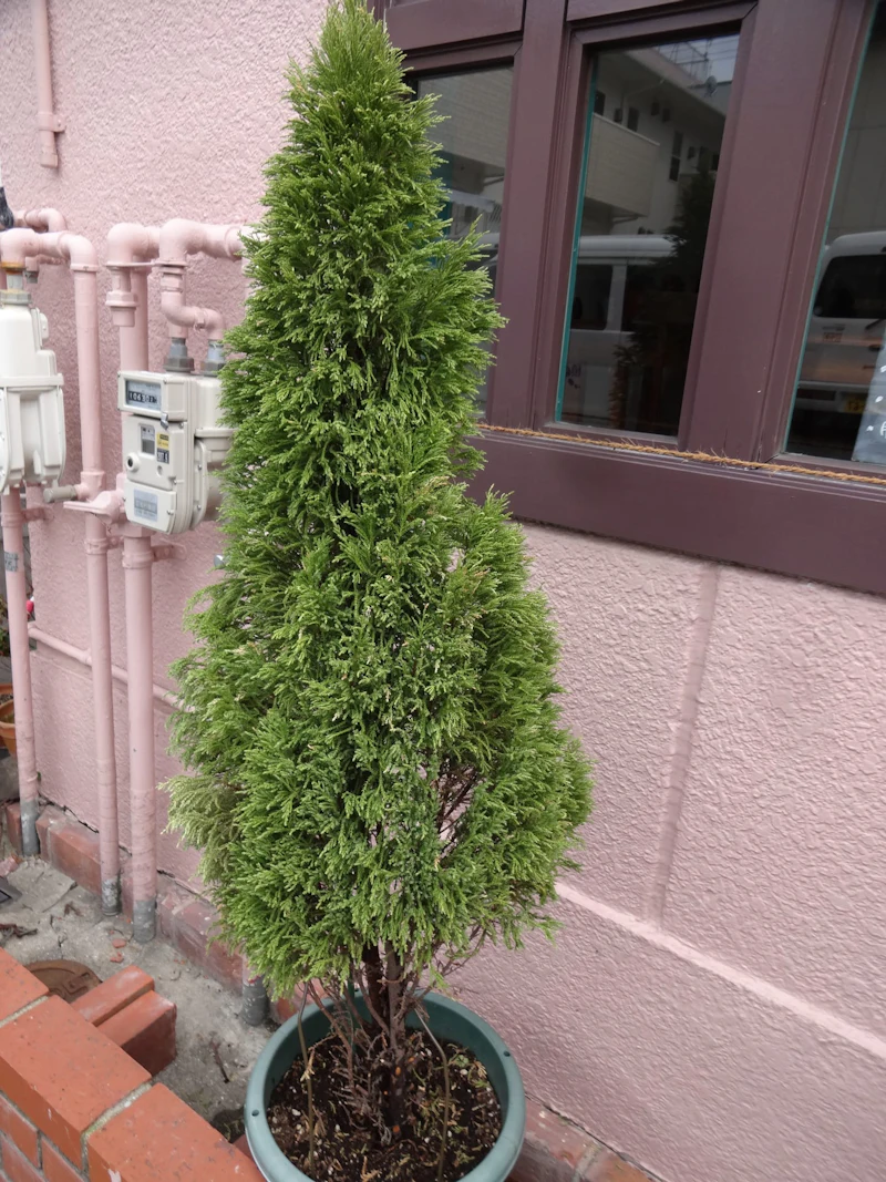 DSC04181