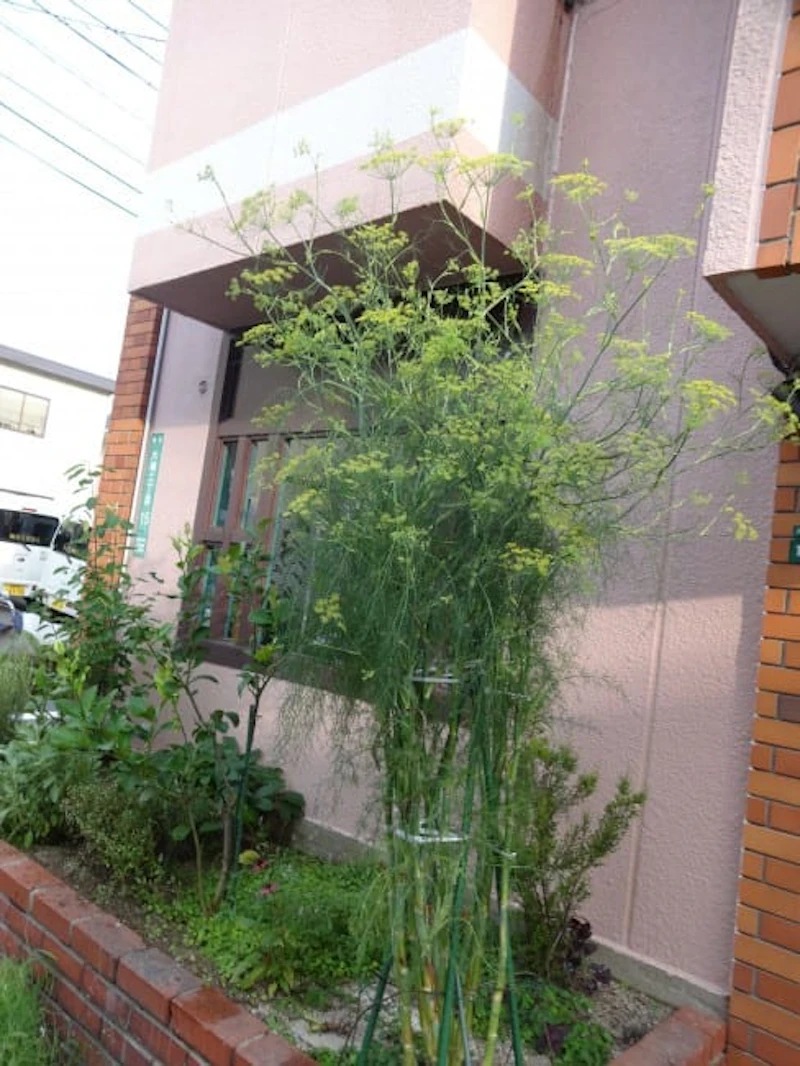 DSC01470