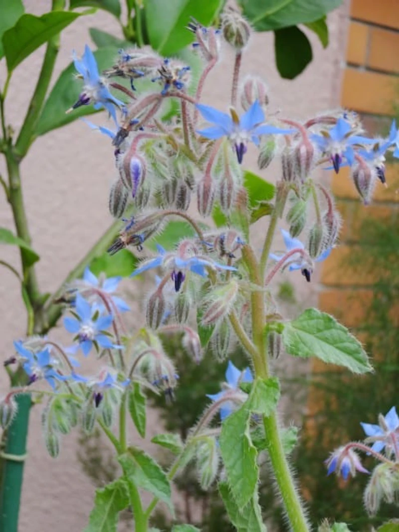 DSC01240