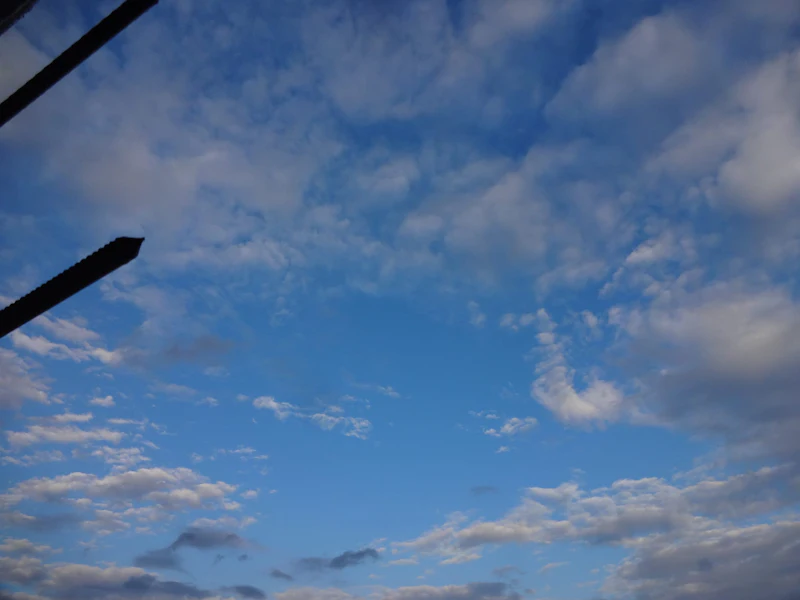 dsc02114