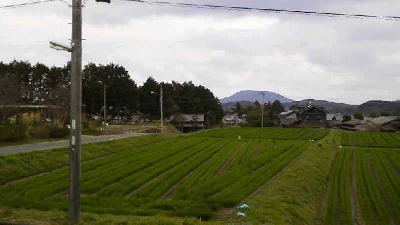 naro4