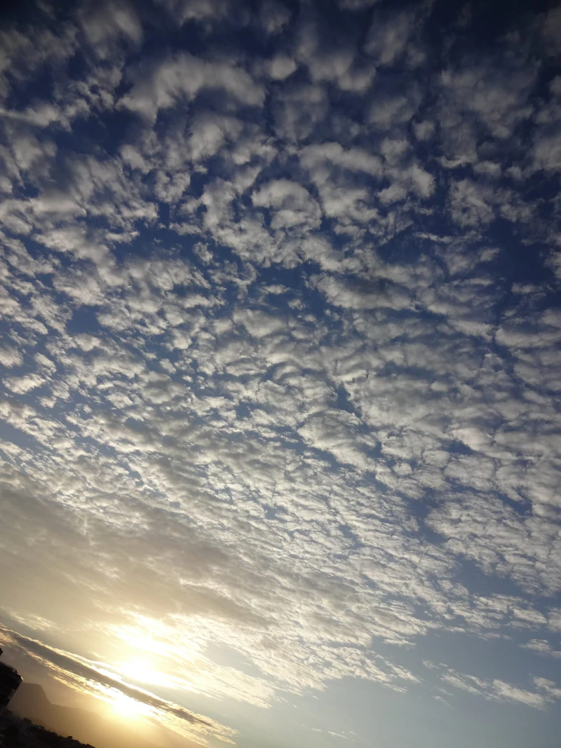 DSC04055