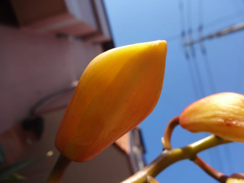 DSC02792