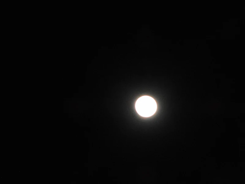 DSC05353