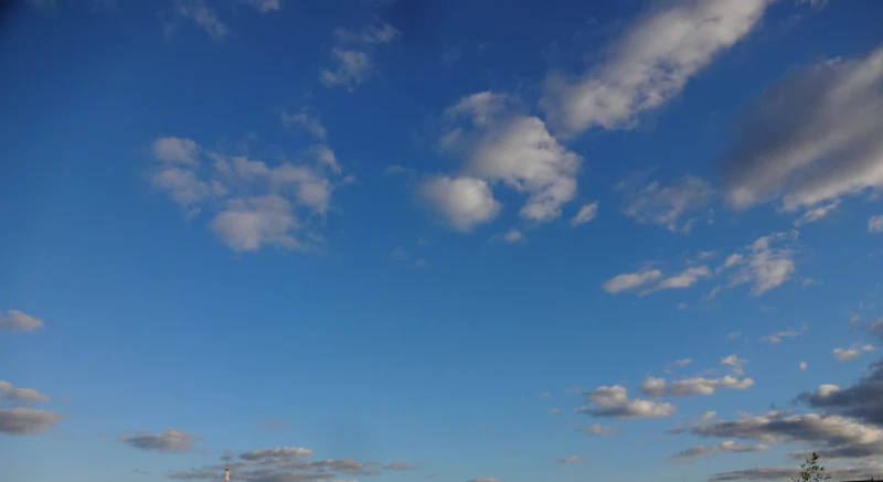 dsc02308-1