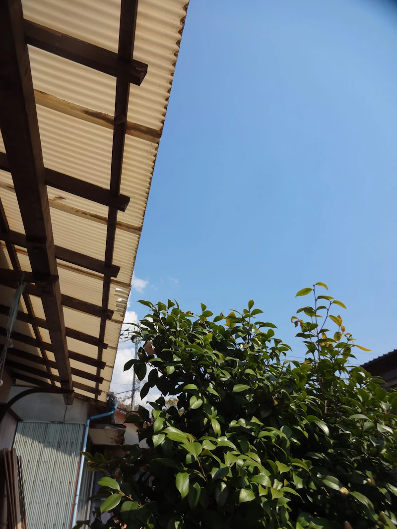 DSC03009