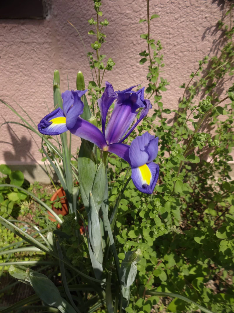 DSC03298