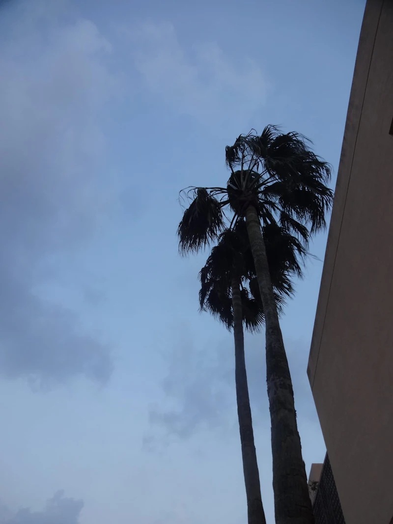 DSC02573