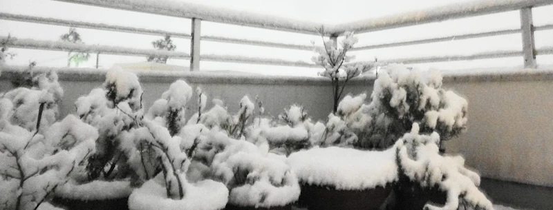 DSC04664