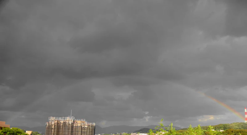 DSC01713