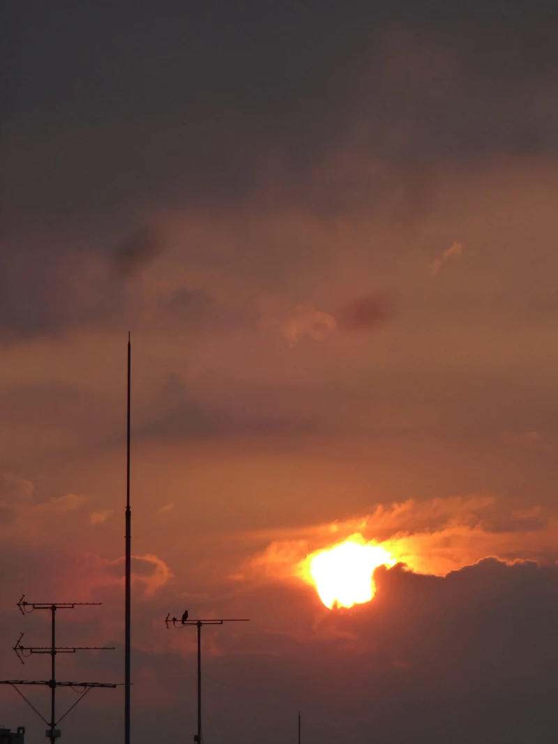 DSC03875