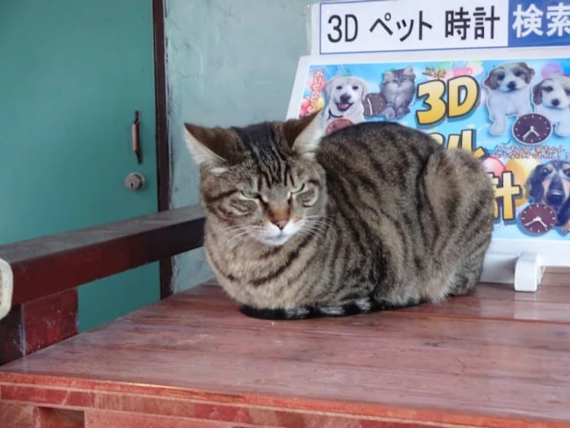 もやし