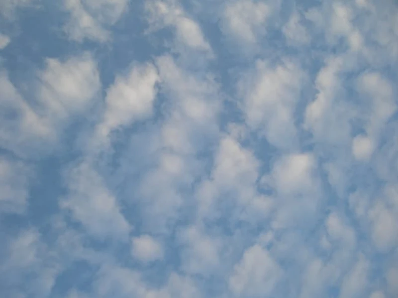 晩秋　鰯雲