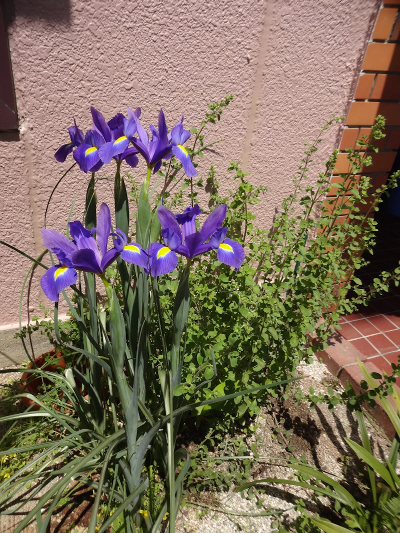 DSC03260