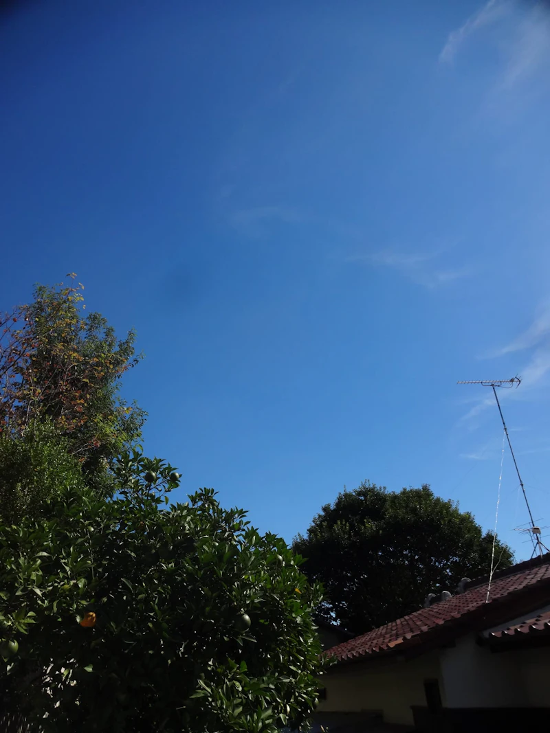 dsc01894