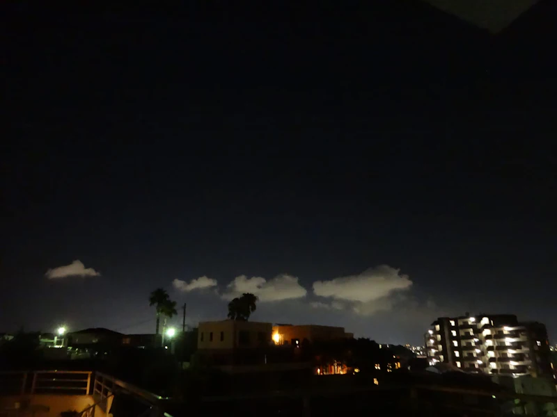 DSC03992