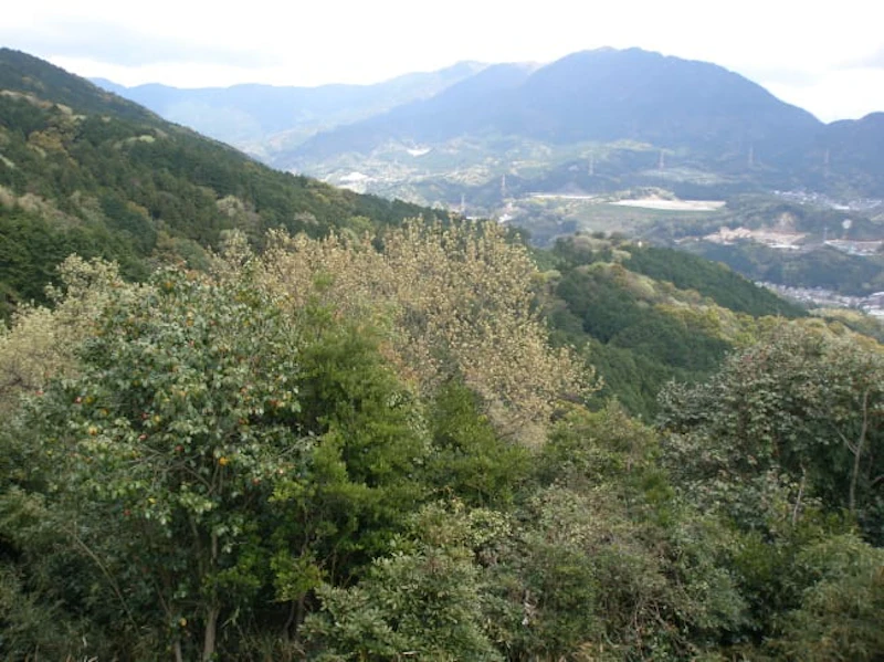 宝満山