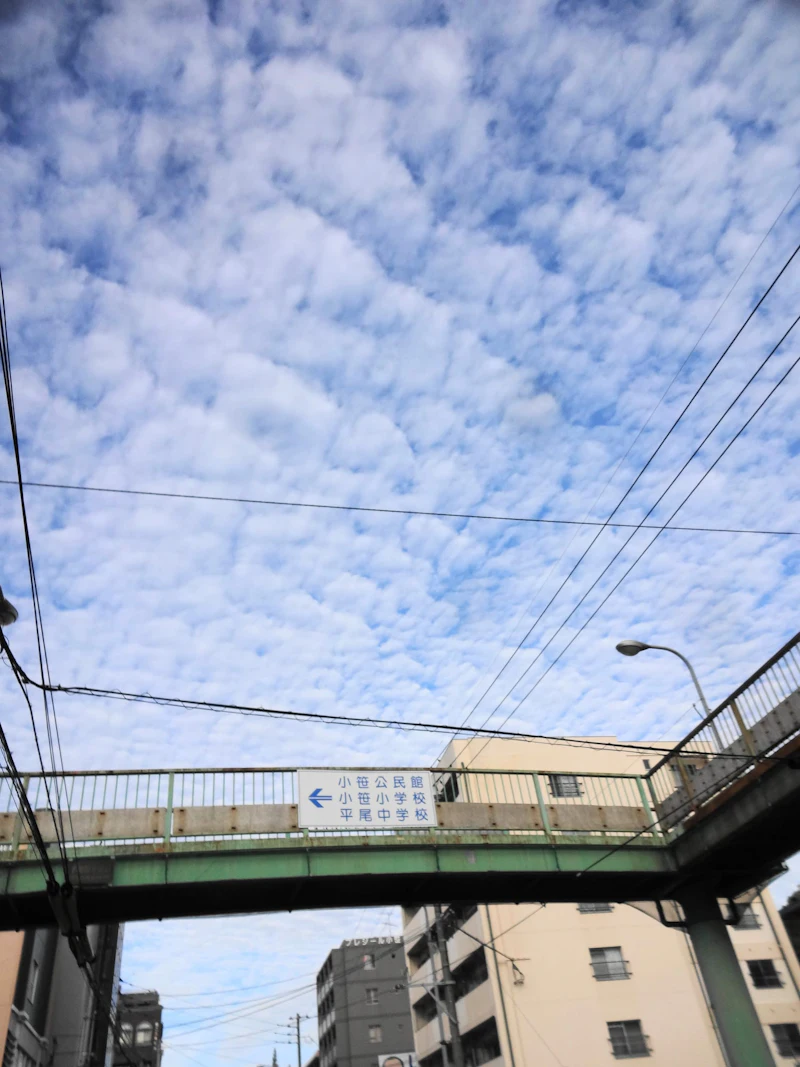 DSC04073